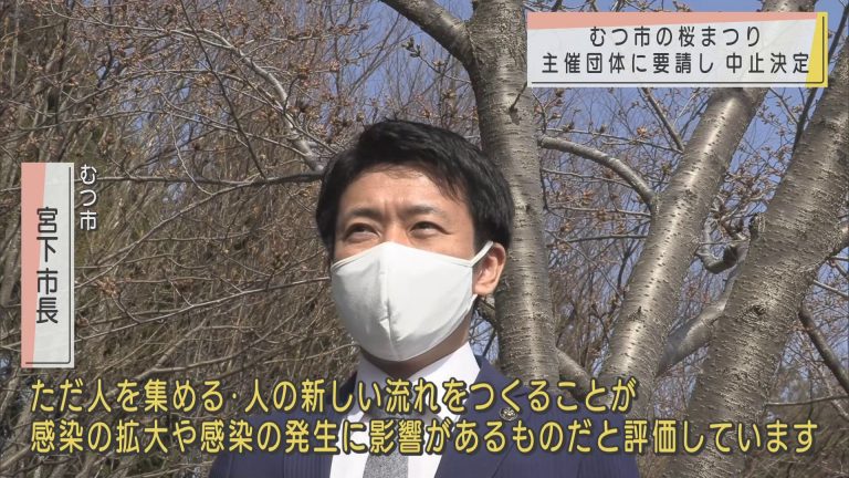 Abaニュース むつ市の桜まつり 市が主催団体に要請し中止決定