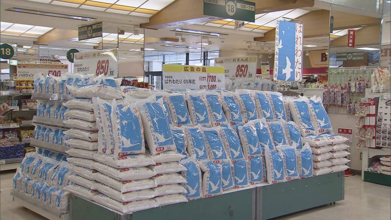 青森県産米の新品種「はれわたり」 県内で販売開始 | ABAニュース